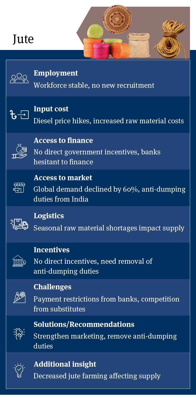 Bangladesh Jute Sector Analysis: Stagnant Employment, Increased Diesel Costs, Limited Access to Finance, Global Demand Decline, Logistics Issues, Recommendations for Marketing and Trade