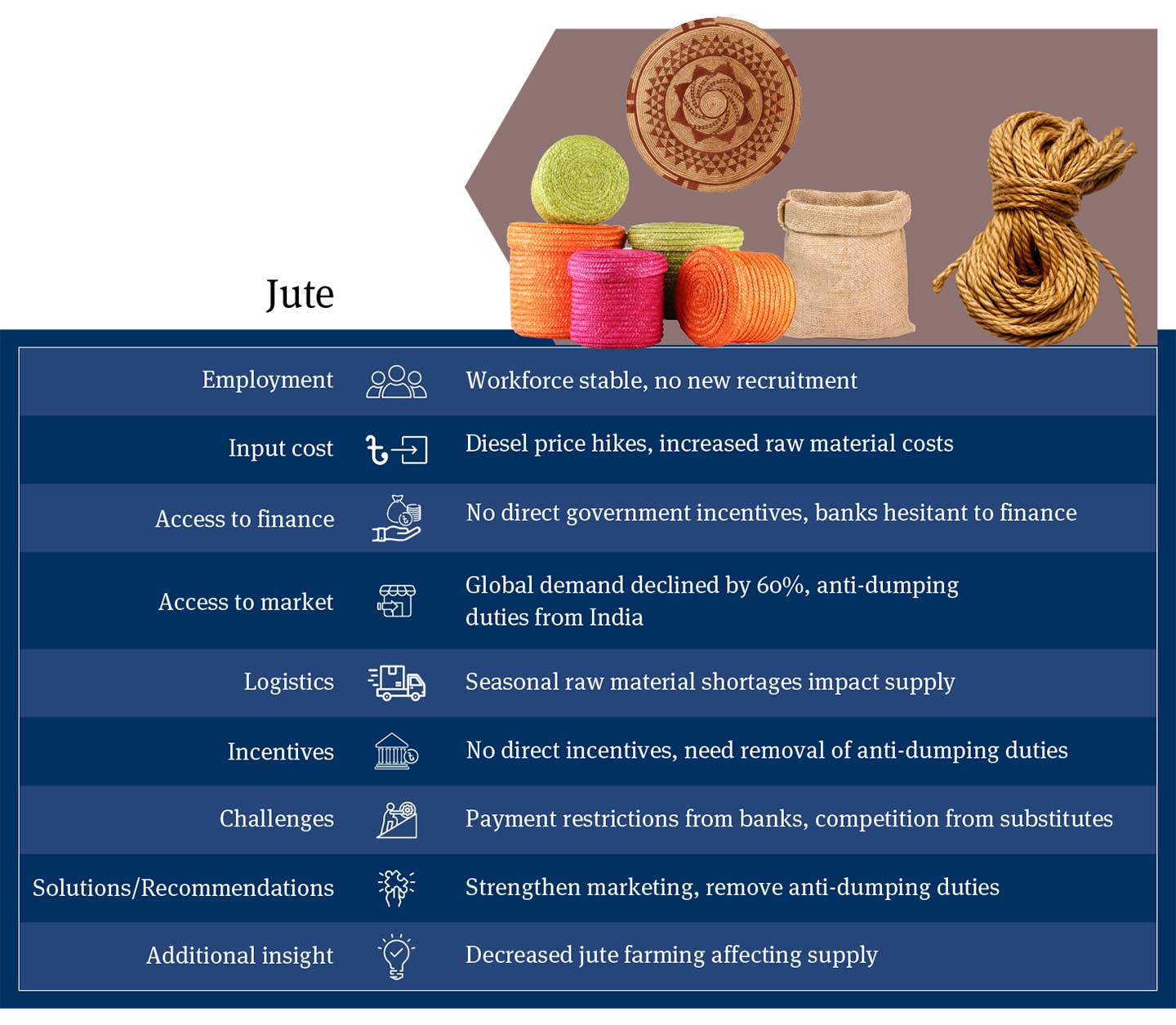 Bangladesh Jute Sector Analysis: Stagnant Employment, Increased Diesel Costs, Limited Access to Finance, Global Demand Decline, Logistics Issues, Recommendations for Marketing and Trade