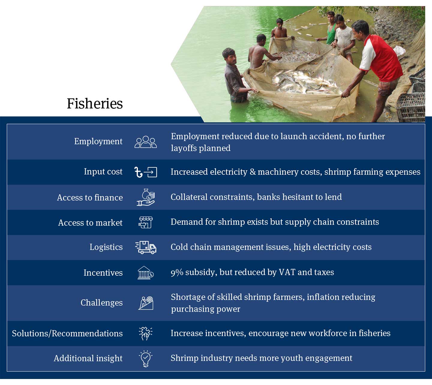 Analysis of Bangladesh Fisheries Industry: Employment Reductions, High Electricity Costs, Collateral Constraints, Supply Chain Issues, and Recommendations for Increased Incentives and Youth Engagement