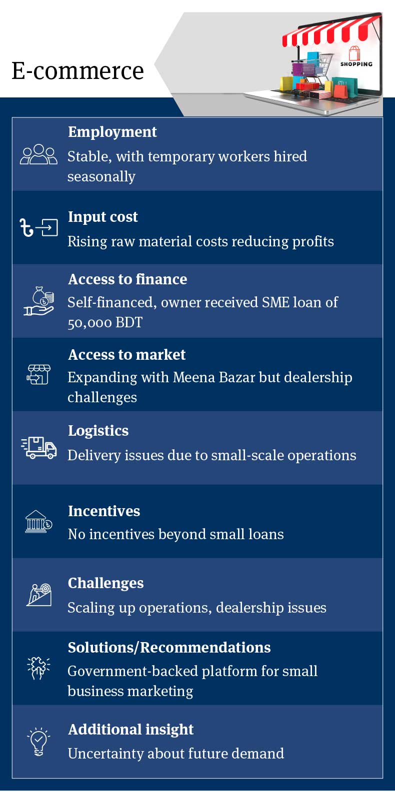 Analysis of Bangladesh E-commerce Industry: Stable Employment, Rising Raw Material Costs, Limited Access to Finance, Expanding Market Reach with Meena Bazar, Recommendations for Government Support and Small Business Marketing