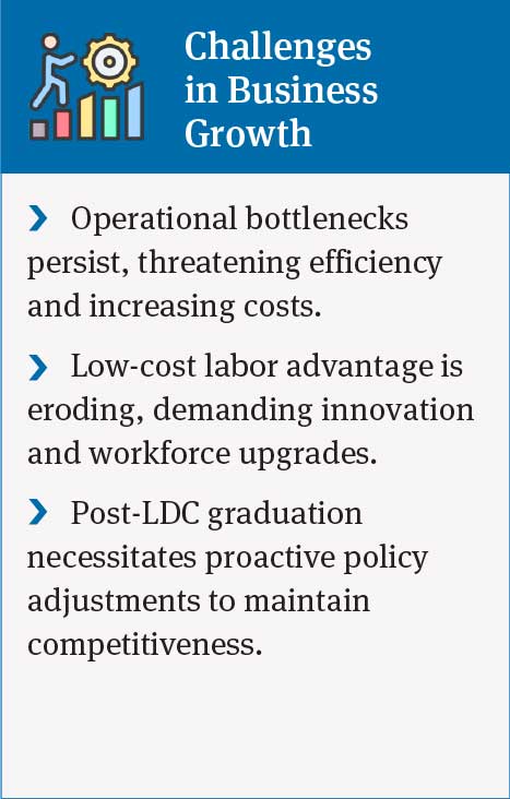 Business Growth Challenges: Operational Bottlenecks, Labor Costs, and Post-LDC Graduation Needs