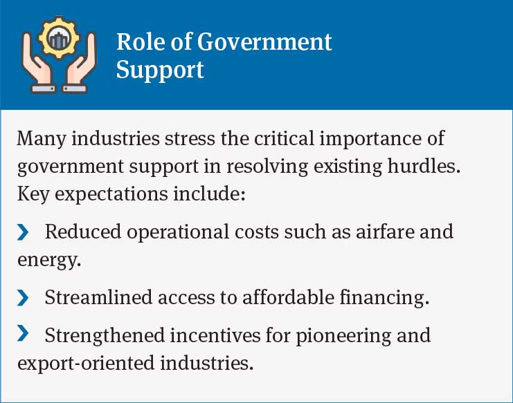 Government Support for Industry: Reducing Costs, Improving Access to Finance, and Strengthening Incentives