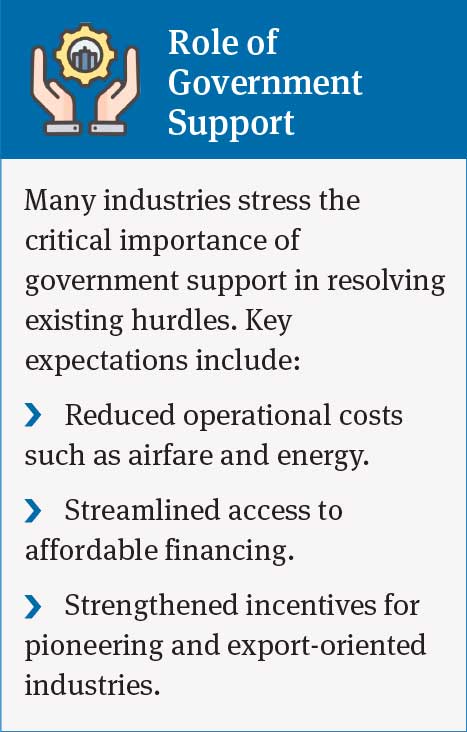 Government Support for Industry: Reducing Costs, Improving Access to Finance, and Strengthening Incentives