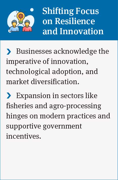 Business Resilience and Innovation: Technology Adoption, Market Diversification, and Government Incentives in the Fisheries and Agro-Processing Sectors