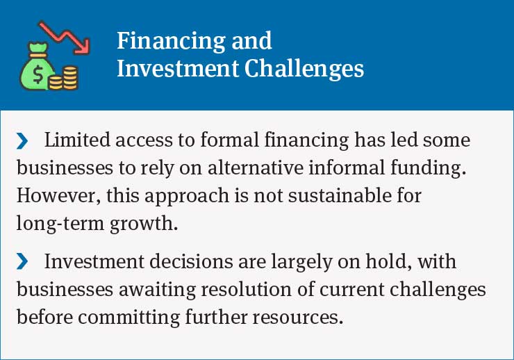 Challenges in Business Finance: Limited Access to Loans, Investment Hesitancy, and Reliance on Informal Funding