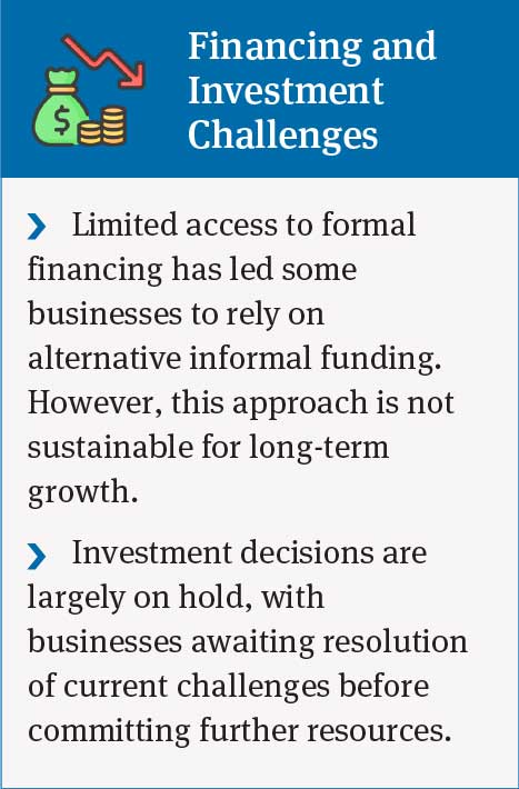 Challenges in Business Finance: Limited Access to Loans, Investment Hesitancy, and Reliance on Informal Funding
