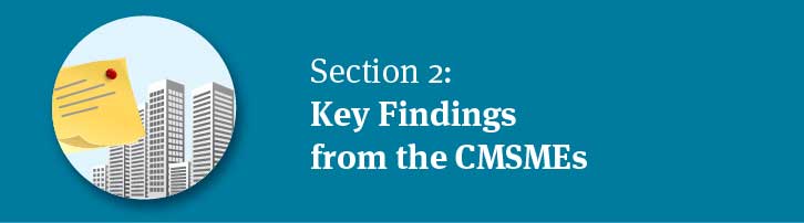 Key Findings from CMSMEs: Report on the State of Cottage, Micro, Small and Medium Enterprises